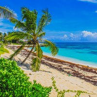 Abacos Islands Guide