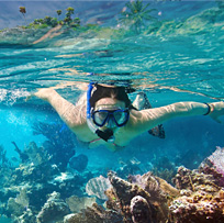 Explore underwater on your luxury vacation