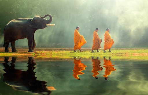 An elephant follows behind Trappist monks in Thailand