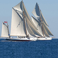 Sailing yachts in a Regatta