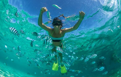 Woman snorkelling in the Bahamas