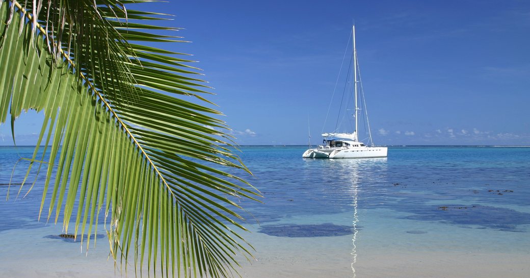 Anchored yacht by a secluded beach with a palm frond in the foreground on the Island Moorea. French Polynesia